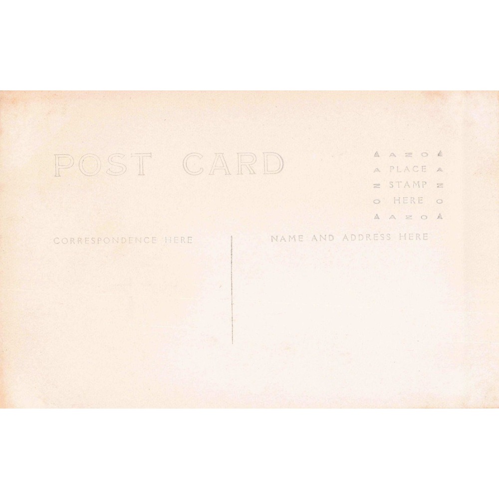 Antique AZO RPPC Men and Woman with Cats on Porch Real Photo Postcard 1904-1918 - Picture 2 of 2